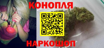 прущие крисы Кингисепп