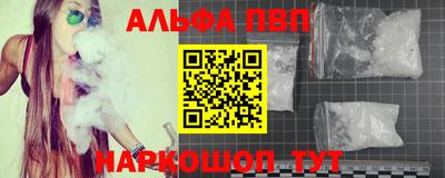 прущие крисы Кингисепп