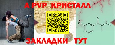 прущие крисы Кингисепп