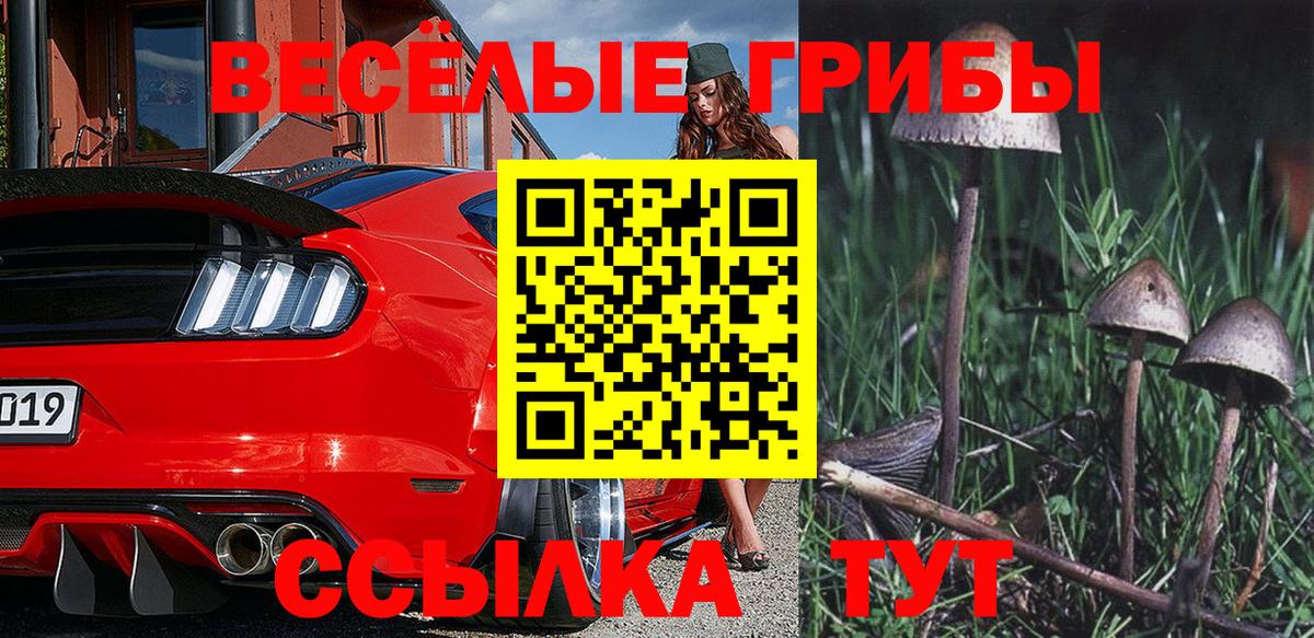 Галлюциногенные грибы мицелий Карпинск